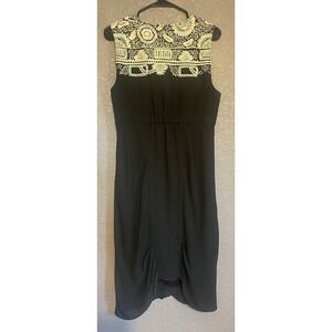 Meadow Rue Anthropologie Embroidered Top Tulip Dress 12 Sleeveless Black